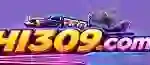 HI309 Game