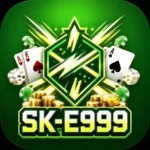 SK-E999 Game